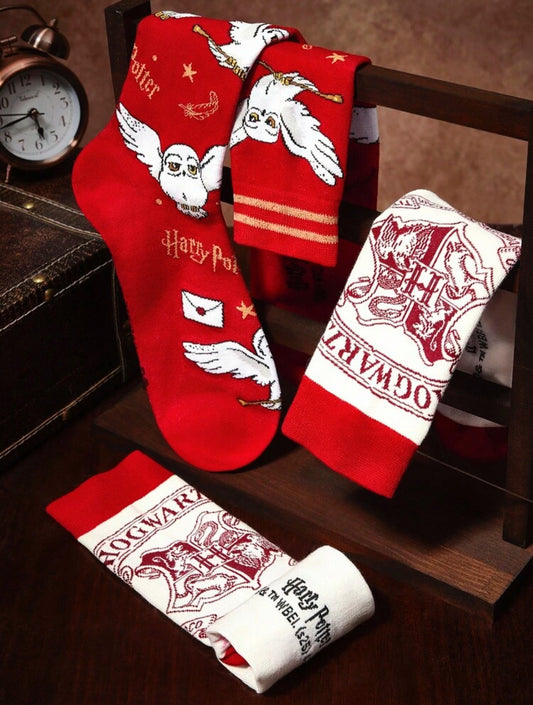 Chaussettes Harry Potter 🪄